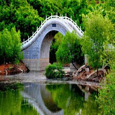 浙江出租全國房地產(chǎn)經(jīng)紀(jì)人證和協(xié)理證，配合注冊備案