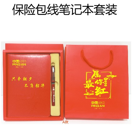 定制商務(wù)保險(xiǎn)禮盒套裝 禮品袋 禮品包裝 禮品冊批發(fā)制作