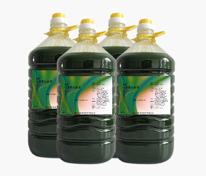 供應海水小球藻廠家直銷聯(lián)系電話
