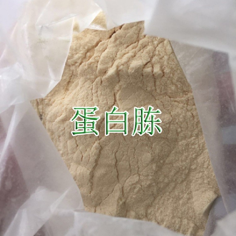 山東蛋白胨生產(chǎn)廠家 蛋白胨批發(fā)價格